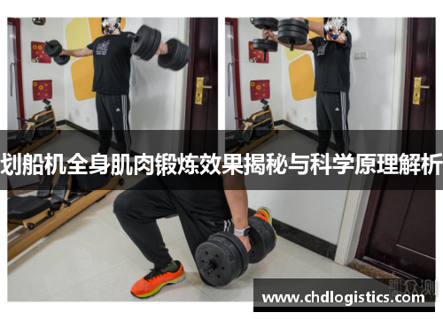 划船机全身肌肉锻炼效果揭秘与科学原理解析