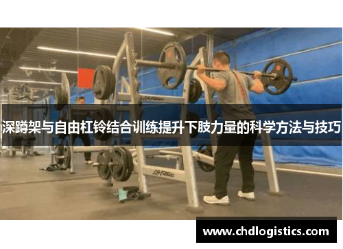 深蹲架与自由杠铃结合训练提升下肢力量的科学方法与技巧